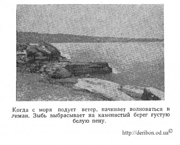 Фото 1892 год, берег Хаджибея, белая пена у берега, сильный ветер и волнение